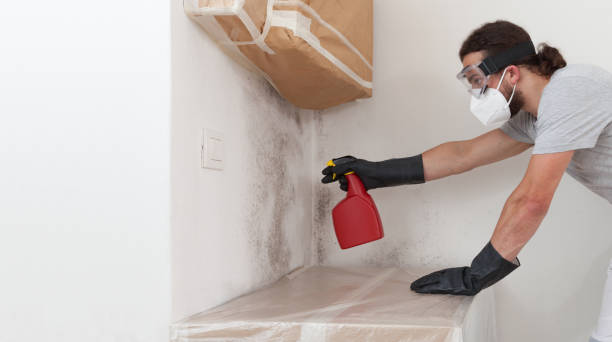 Professional Bathroom Mold Removal technician working in Greenbackville, VA